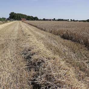 Het gewas op het perceel vertoont een duidelijk hoogteverschil. Zo staat de tarwe aan de zijkant hoger. De oorzaak hiervan is dat er in het verleden een groot deel van de klei van het perceel is afgehaald voor de productie van stenen. Daarbij bleef een kl