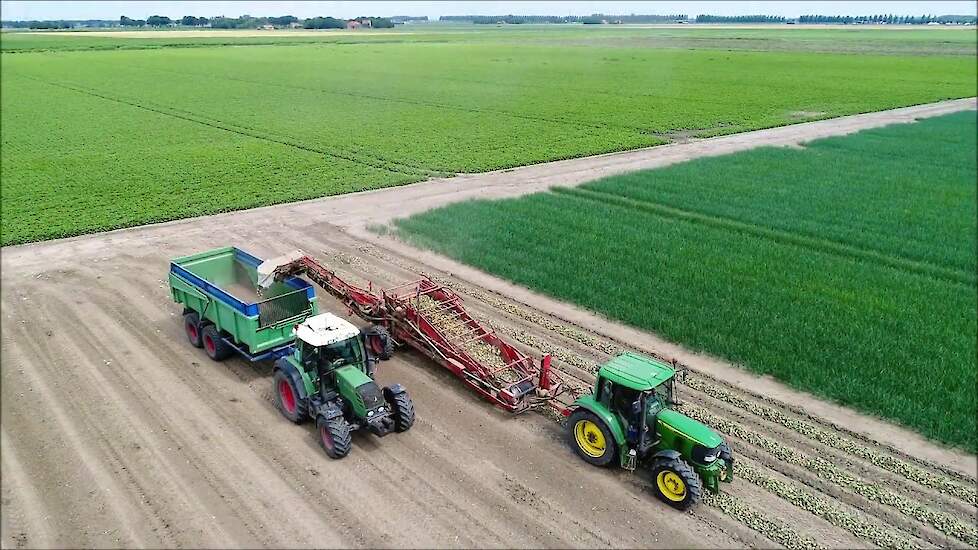 Uien laden / Loading onions / Zwiebeln laden / AMAC / Fendt / John Deere