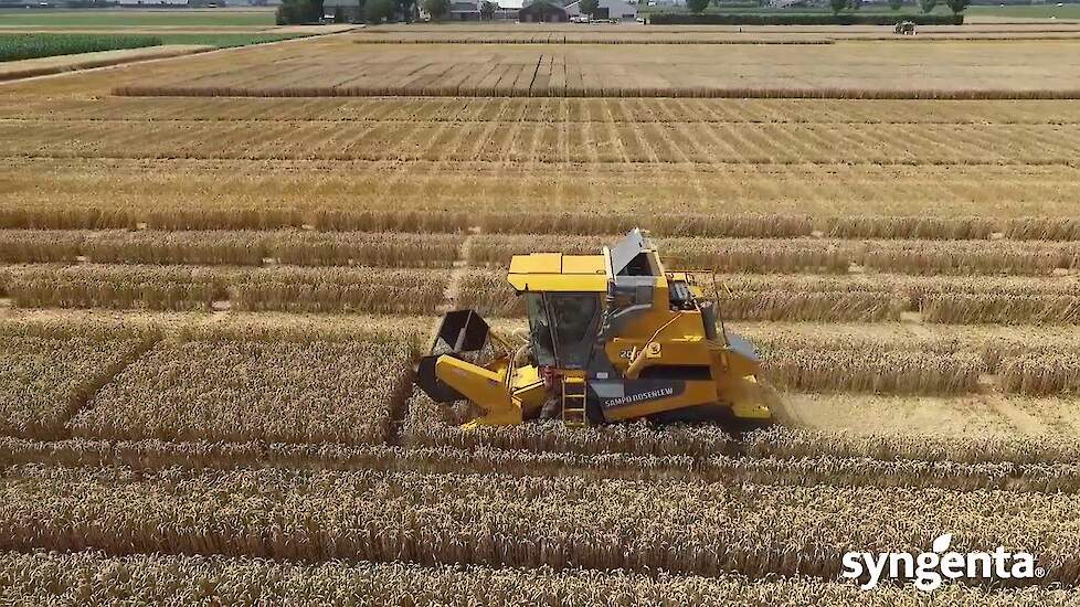 Syngenta Proefveldcombine maakte overuren. Goede resultaten, mede door de werking van Elatus Era op roest en Septoria.