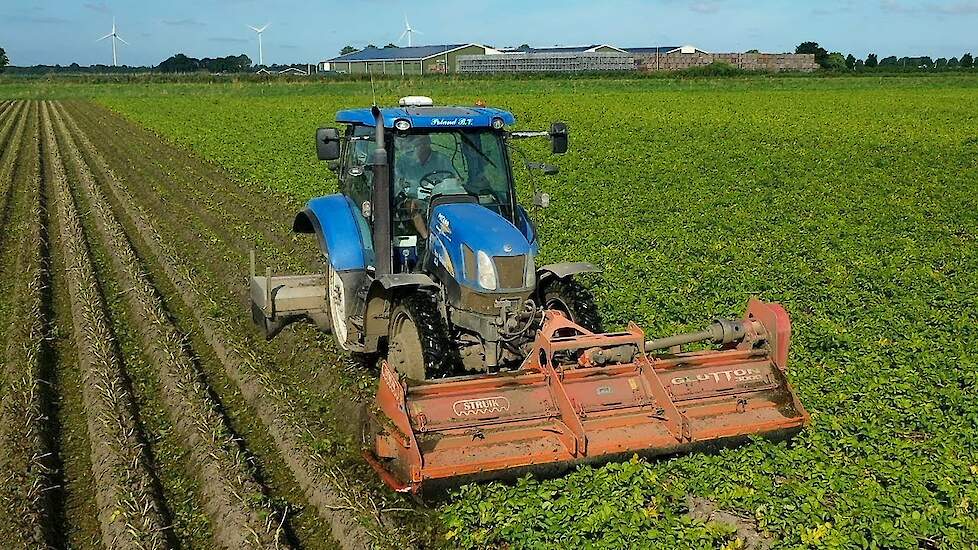 New Holland T6020 loofvernietigen met de Loof-Does