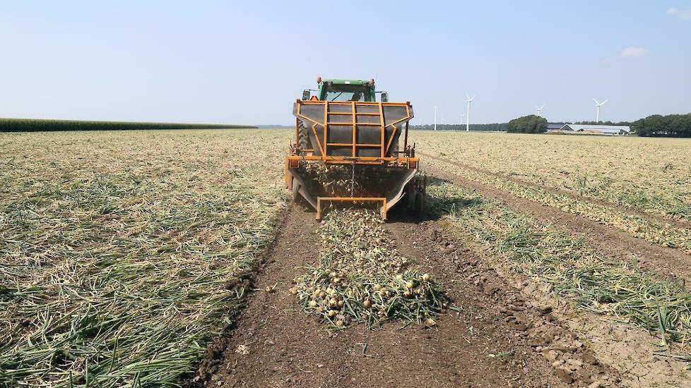 Naast de zelfrijder werkt Van Beem met drie combinaties van een conventionele klapper en rooier. Vaak rijdt er één hiervan in combinatie met de zelfrijder: de spuitsporen worden met de kleinere combinatie gerooid. „De spuitsporen liggen iets dieper, dan z