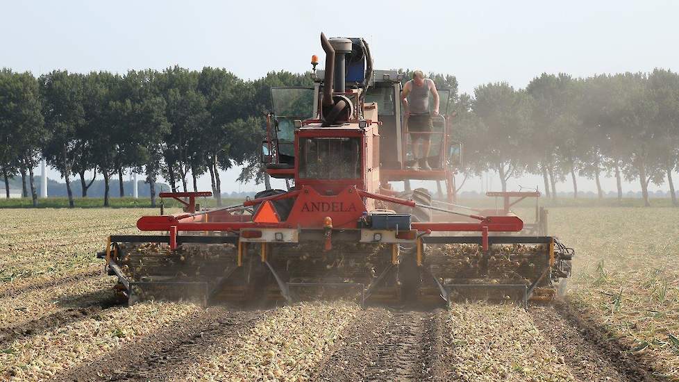 Met de machine kunnen de telers drie bedden van 2,25 meter breed in één keer rooien. Andere machines rooien één bed of smallere bedden, zegt Van der Peet.