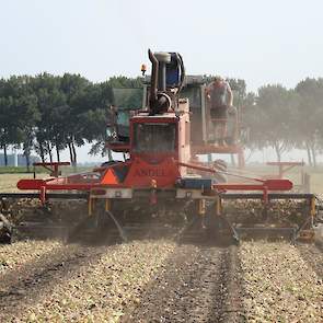 Met de machine kunnen de telers drie bedden van 2,25 meter breed in één keer rooien. Andere machines rooien één bed of smallere bedden, zegt Van der Peet.