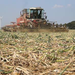 Van Beem teelt zelf 70 hectare uien. Daarnaast ‘doet’ de ondernemer 230 hectare uien in loonwerk.