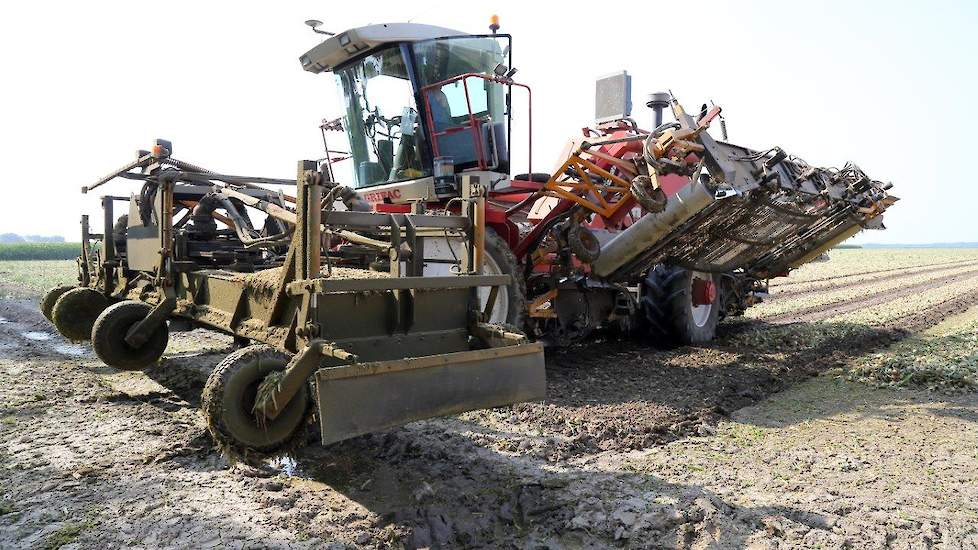 De capaciteit van de zelfrijder is groot. „We rijden er net zo hard mee als met een conventionele machine, maar doen dan wel drie bedden tegelijk.” Zo lukt het om per dag ongeveer 15 tot 20 hectare uien te oogsten, afhankelijk van de omstandigheden en de