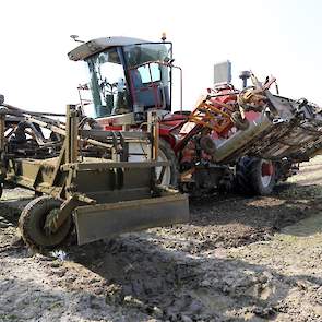 De capaciteit van de zelfrijder is groot. „We rijden er net zo hard mee als met een conventionele machine, maar doen dan wel drie bedden tegelijk.” Zo lukt het om per dag ongeveer 15 tot 20 hectare uien te oogsten, afhankelijk van de omstandigheden en de