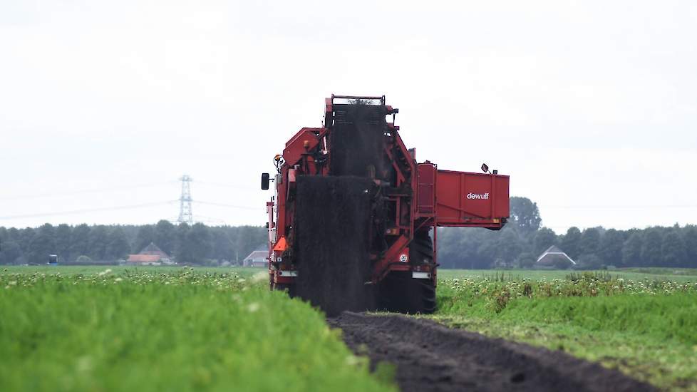 De waspeenoogst levert ongeveer 30 tot 40 procent tarra op.