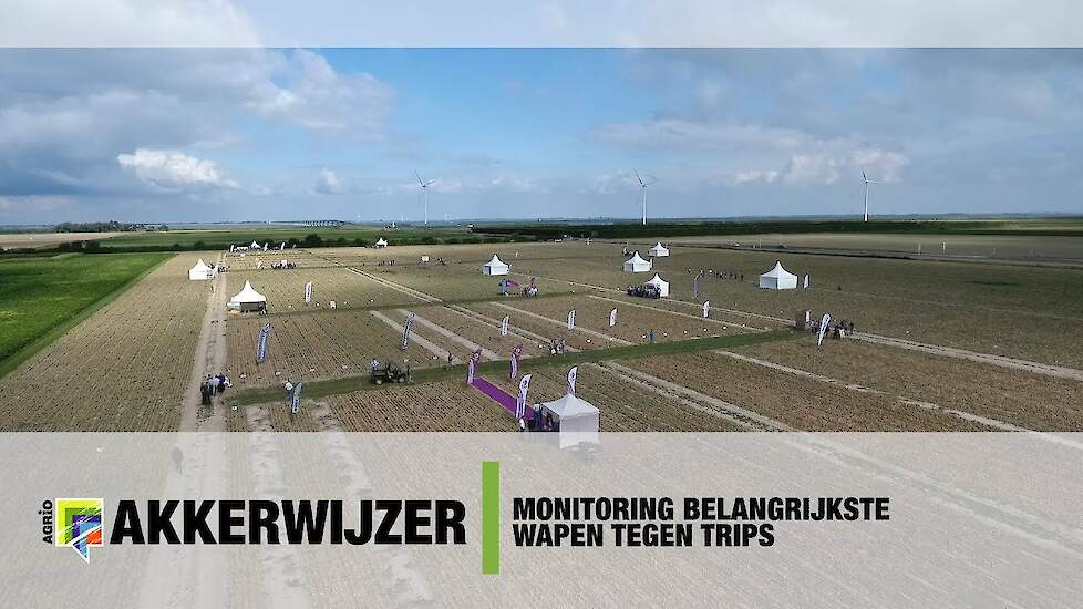 Monitoring belangrijkste wapen tegen trips