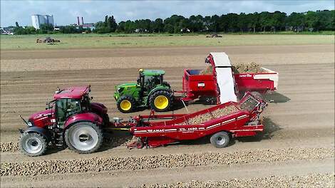 Uien rooien & opladen / Onion harvest / Zwiebeln ernte / Case IH / Keulmac / VSS Amac