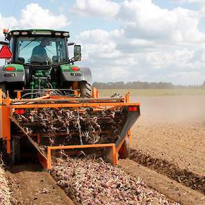 De uien worden geoogst met een loofklapper en een rooimachine van Keulmac op een bedbreedte van 2,25 meter.