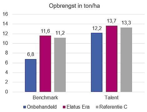 Ziekteproef Warffum 2019 in de rassen Benchmark en Talent extra opbrengst door ziektebestrijding met Elatus Era