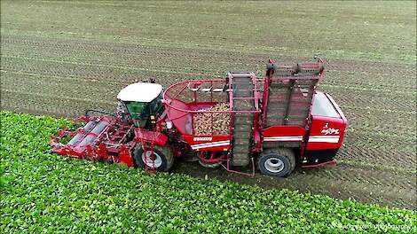 Suikerbieten rooien / Sugar beet harvest / Zuckerrüben ernten / Grimme / Fendt / Bietenoogst 2019