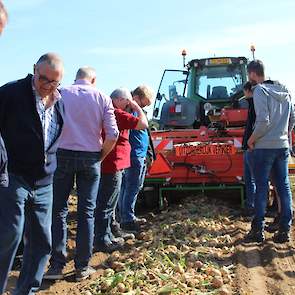 De afgelopen jaren is het Limburgse uienareaal volgens het CBS gestegen van 457 ha ha in 2010, naar 670 ha in 2015 naar 1063 ha in 2018. De ui geniet dus ook op de Limburgse akkers een stijgende populariteit.