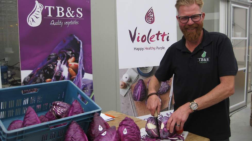 Koolteler Dirk Swager van TB&S uit Broek op Langedijk presenteert op de Hazera Experience Days de Violetti, een nieuwe rode spitskool met de smaak en eigenschappen van spitskool en de kleur van de klassieke rode kool.