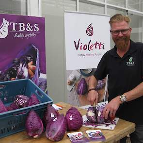 Koolteler Dirk Swager van TB&S uit Broek op Langedijk presenteert op de Hazera Experience Days de Violetti, een nieuwe rode spitskool met de smaak en eigenschappen van spitskool en de kleur van de klassieke rode kool.