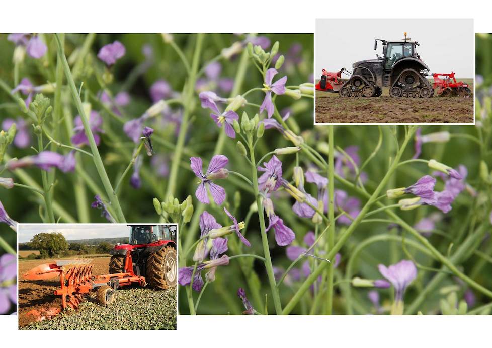 Topbodem demo, Proeftuin voor Agroecologie en Technologie, Groenbemesters inwerken, Lelystad