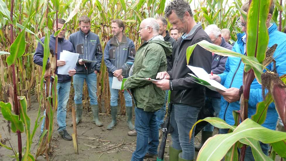 De aanwezigen zijn het over twee dingen eens: het verplichte vanggewas maakt de onkruidbestrijding lastiger en het slagen van een vanggewas is van veel factoren afhankelijk.