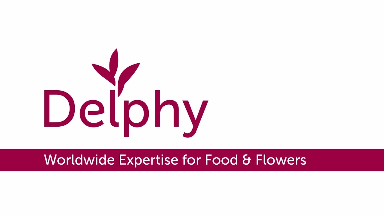 Delphy logo