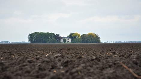 Oldambt blijft de graanschuur van Nederland - Akkerwijzer
