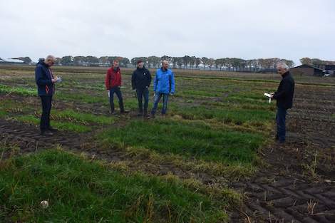 Rietzwenkgras staat er het beste bij op de veldjes waar uitsluitend Laudis OD (1,5 en 2,25 l/ha) is toegepast. Meer dan 90 procent van de grond is hier bedekt met rietzwenk.