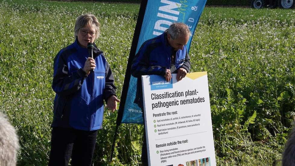 Marije Scholten en Bert-Jan van Dinter van Vandinter Semo geven uitleg over de ontwikkeling van aaltjesresistente kruisbloemigen, het specialisme van het bedrijf uit Scheemda. Van Dinter Semo selecteert sterke resistenties tegen plantpathogene aaltjes, ee