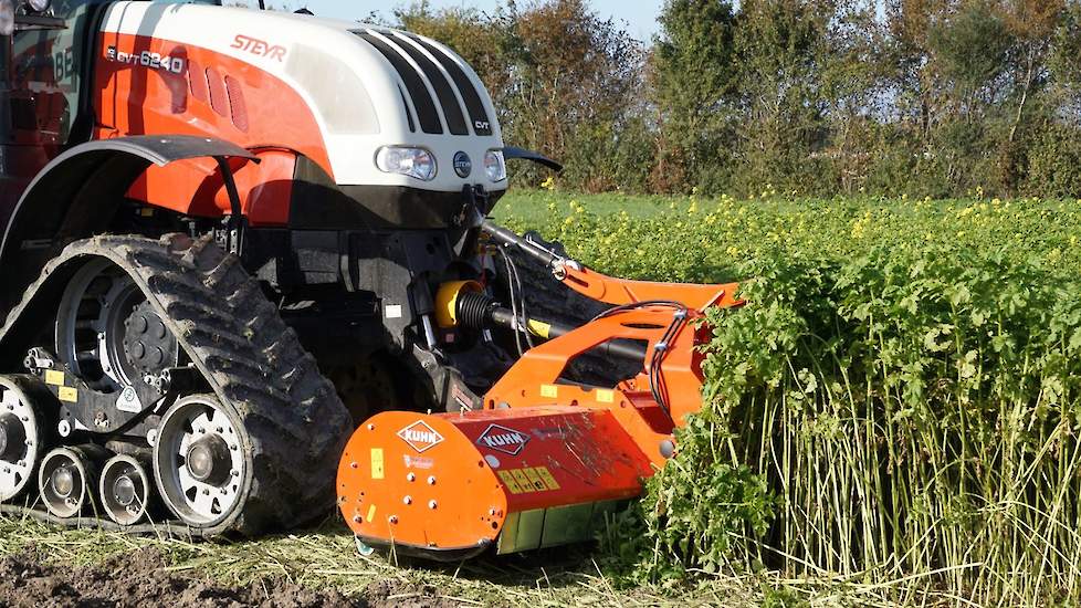 De Kuhn-ploeg werkte samen met een klepelmaaier om in één werkgang de groenbemester te verkleinen en in te werken.