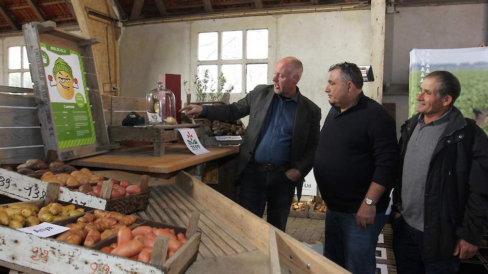 Jan Eric Geersing van Geersing Potato Specialist geeft twee telers uit Malta uitleg over het phytophthoraresistente ras Cammeo. Vanuit Malta wordt de Cammeo naar Nederland geëxporteerd als Tal Bidwi. Dit betekent letterlijk ‘van de boer’.