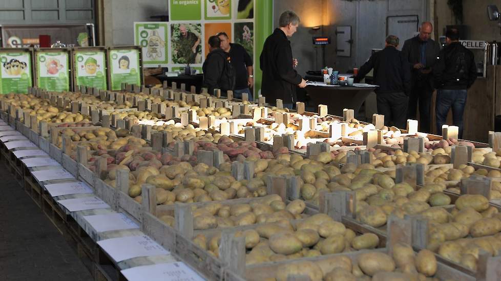 Geersing Potato Specialist is een nieuwe speler op de aardappelmarkt. Het bedrijf is ontstaan uit het Schotse handelshuis Caithness, dat nu in Nederland zelfstandig wordt voortgezet door Jan-Eric Geersing. Hij borduurt daarbij voort op rassen die gezamenl