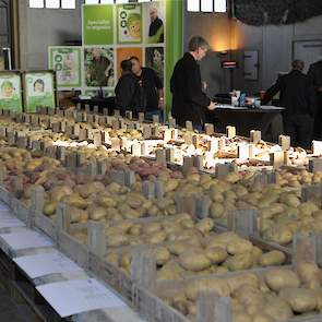 Geersing Potato Specialist is een nieuwe speler op de aardappelmarkt. Het bedrijf is ontstaan uit het Schotse handelshuis Caithness, dat nu in Nederland zelfstandig wordt voortgezet door Jan-Eric Geersing. Hij borduurt daarbij voort op rassen die gezamenl