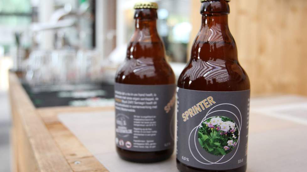 Bij Royal ZAP / Semagri vertelt Jarke Kruize enthousiast over de ontwikkeling van hun aardappelbier van het ras Sprinter. Het bier wordt gebrouwen door Brouwerij Westerwolde in Bourtange (GR).