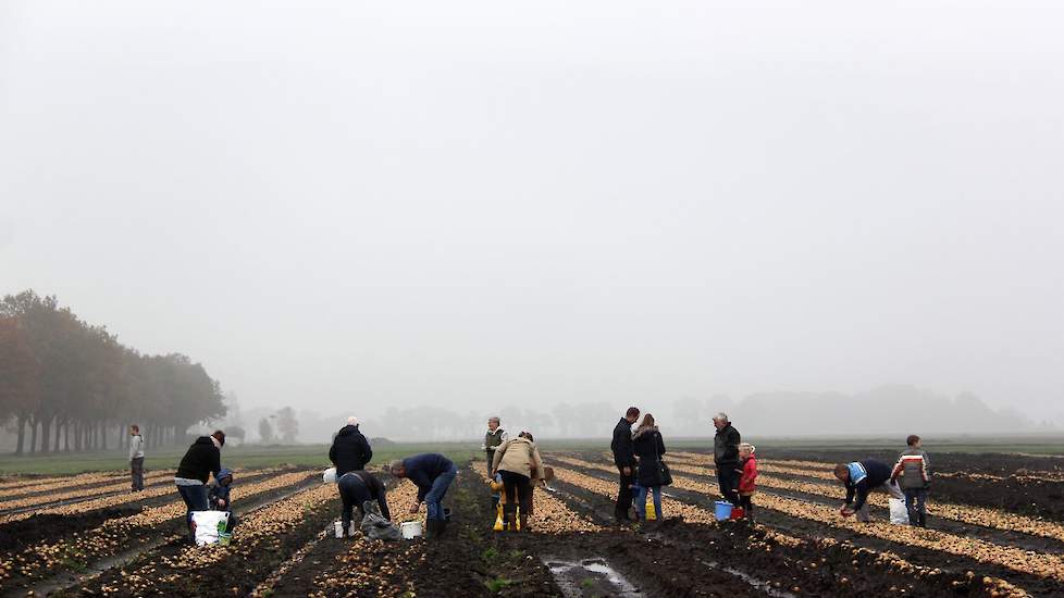 Volgens een van de bezoekers was dit altijd grasland en gingen de aardappelen er op dit perceel de laatste twee jaar ook al niet uit. Deze bezoeker zegt lachend vanavond uiensoep te eten. „En een uienschotel. Met een toetje van ui.”