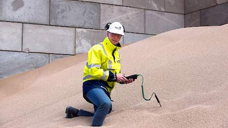 Richard Spanjer, kwaliteitsmanager OCI controleert wekelijks de hardheid van de kunstmestkorrels.