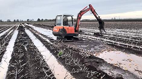 Aardappelteler David Armstrong uit Bardney Lincolnshire probeert zijn aardappelen te redden.