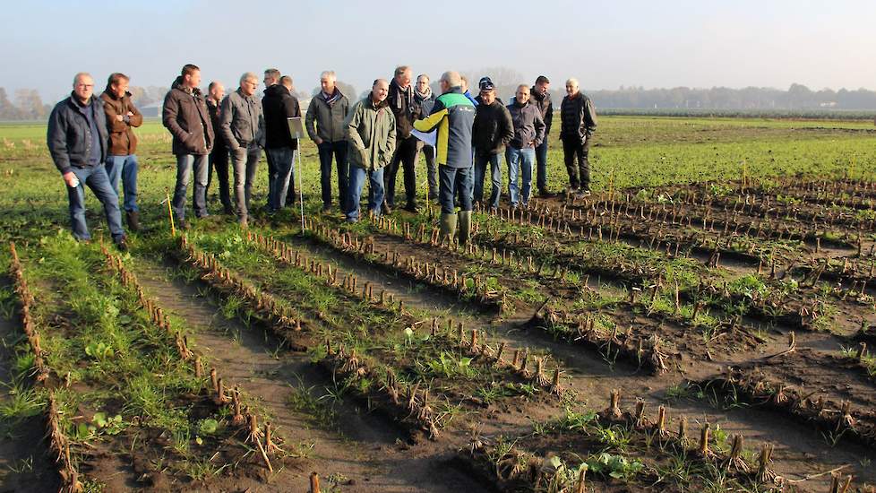 Verschillende vanggewassen op zand en löss, de verschillende systemen, machines, gewasbescherming en nazorg waren woensdagmiddag allemaal aan de orde.