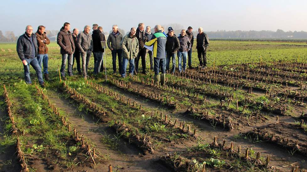 Verschillende vanggewassen op zand en löss, de verschillende systemen, machines, gewasbescherming en nazorg waren woensdagmiddag allemaal aan de orde.