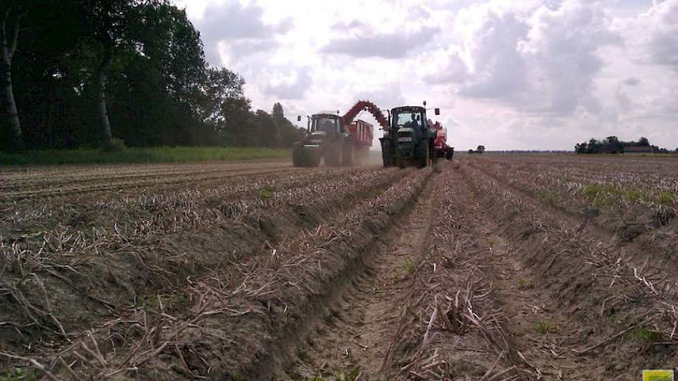 Ook bij de VTA-leden bestaat de vrees dat niet alle aardappelen kunnen worden gerooid.