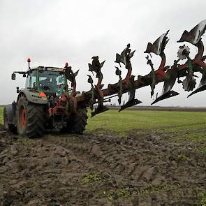 Van den Hoek teelt de groenbemesters niet alleen voor de vergroeningsregels. De akkerbouwers vinden het belangrijk dat de bodem zo lang mogelijk bedekt blijft. Daarnaast is het goed voor de aanvoer van organische stof, zegt Peter van den Hoek.