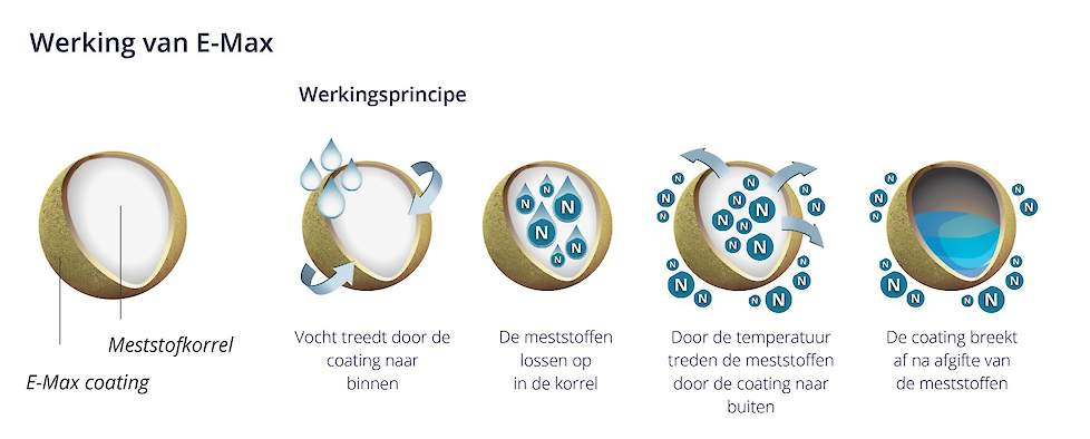 Afbeelding 3: Werkingsprincipe gecontroleerd vrijkomende meststof met E-Max coatingtechnologie van ICL Specialty Fertilizers