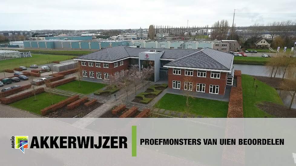 Proefmonsters van uien beoordelen