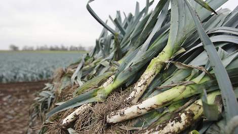 Actie: prei niet omploegen maar alsnog verkopen - Akkerwijzer