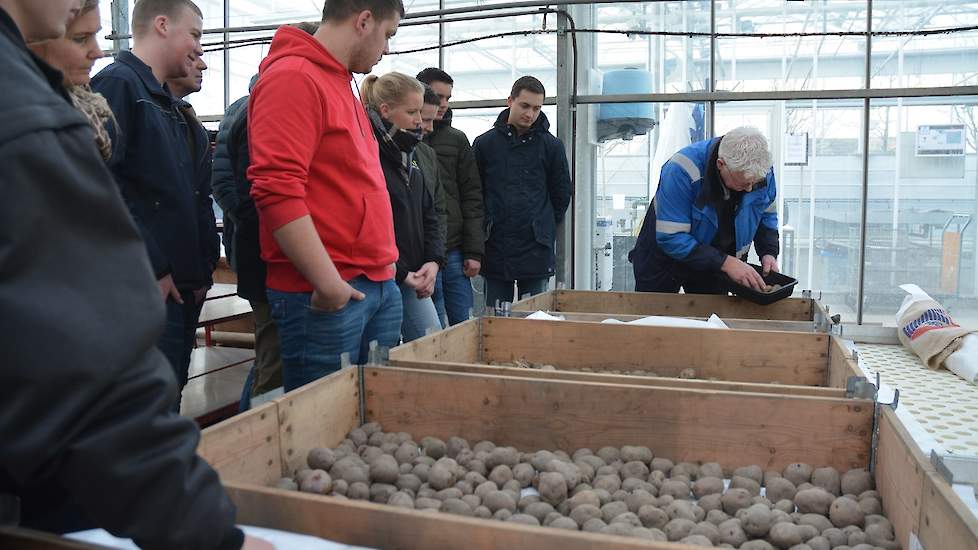 Achter in de kassen staan bakken met partijen waar ook keurmeesters over in discussie gaan: keur je dit goed of af, is dan de centrale vraag. „En als je het afkeurt, moet je wel aan de teler kunnen uitleggen waarom“, zegt senior keurmeester Kees Hospers.