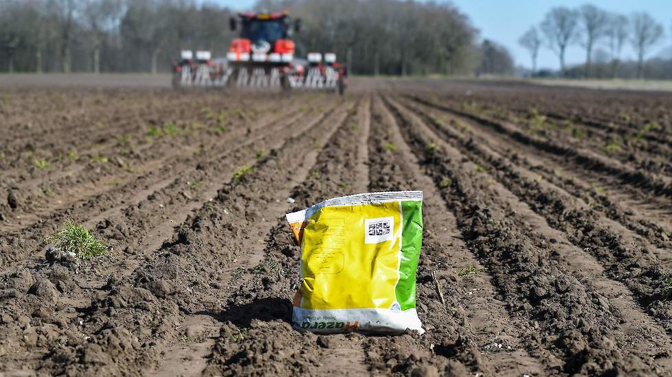 Het uienras Vento van zaadbedrijf Hazera is één van de meest gezaaide rassen in het werkgebied van Haaijer. „Deze ui is ontwikkeld voor de zandgronden. Hij doet het hier erg goed.”