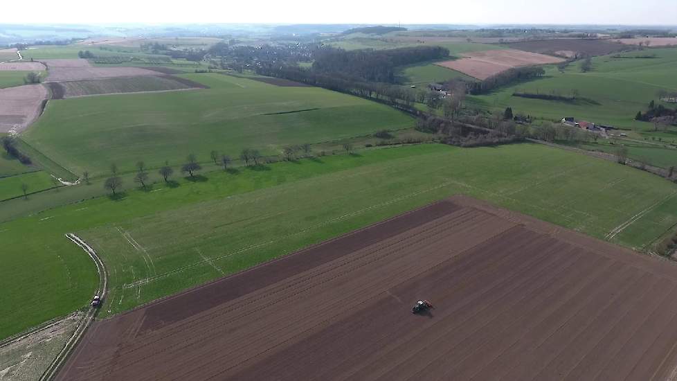 Kremer heeft gekozen voor het Hypark van  De Groot en Slot en Bejo zaden. Dit middenvroege ras kenmerkt zich met mooie ronde en sterk bollende uien. Het beschikt over een goed wortelgestel en is geschikt voor alle grondsoorten. Door de goede huidvastheid