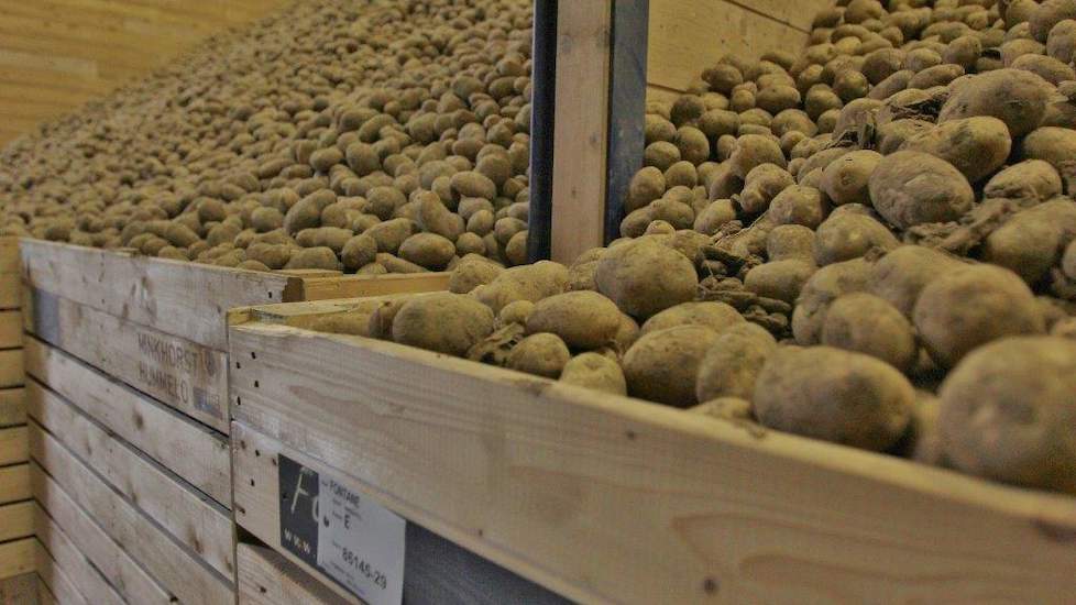 Voor 1 miljoen ton fritesaardappelen is op dit moment geen bestemming. De waarde van deze aardappelen is hierdoor in één klap onderuit gegaan.