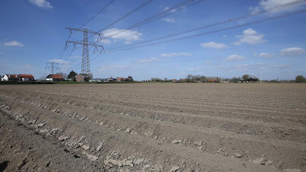 Novifarm teelt ongeveer 200 hectare aardappelen. Het poten hiervan is in volle gang.