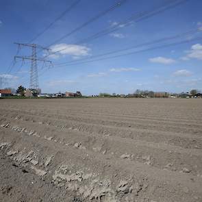 Novifarm teelt ongeveer 200 hectare aardappelen. Het poten hiervan is in volle gang.