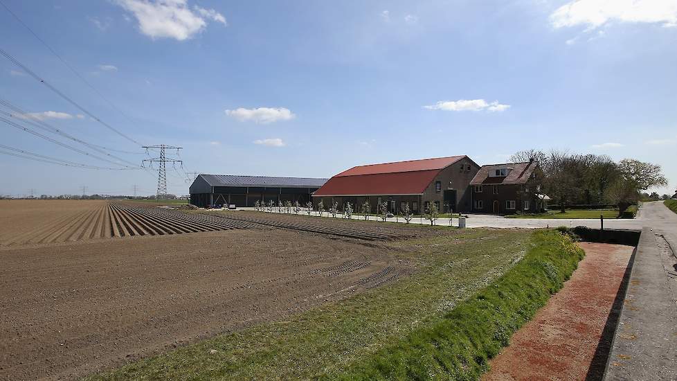 Binnen Novifarm wordt nagedacht over een krimp in het areaal vrije aardappelen. „We kunnen beter nu iets meer pootgoed weggooien, dan alles poten en verzorgen en er dan niets voor krijgen”, zegt Kruijthoff. „De prijsvorming wordt één groot casino, met zov