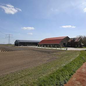 Binnen Novifarm wordt nagedacht over een krimp in het areaal vrije aardappelen. „We kunnen beter nu iets meer pootgoed weggooien, dan alles poten en verzorgen en er dan niets voor krijgen”, zegt Kruijthoff. „De prijsvorming wordt één groot casino, met zov