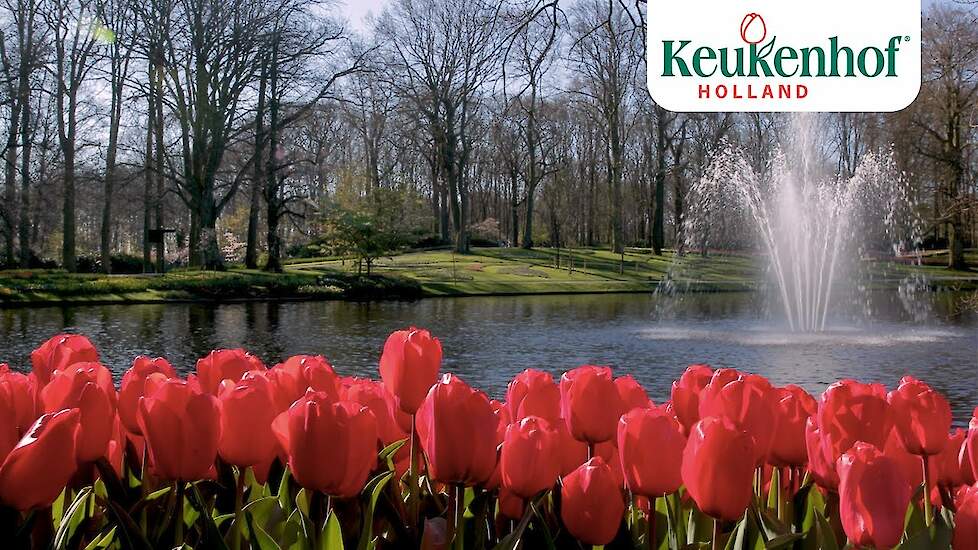 Enjoy this new video of our beautiful park!- Keukenhof Virtually Open