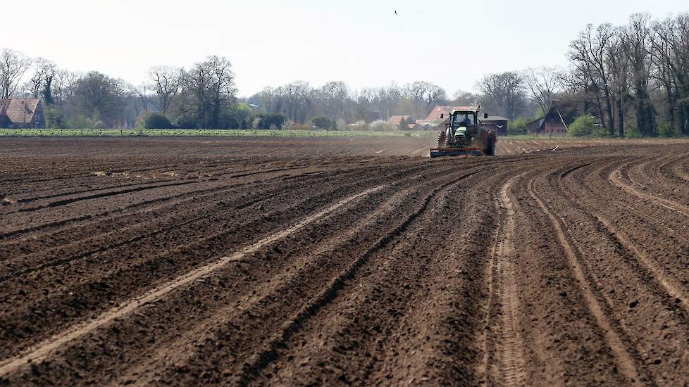 Marcel is bezig met 11 hectare Altus fabrieksaardappelen. In totaal moest er zo'n 80 hectare aardappelen de grond in. Dat ging vrij vlot dit jaar, vertelde Roy later. „Met twee weken was de klus geklaard."